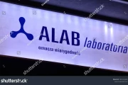 ALAB Stock's Q3 Triumph: What Drove the Surge