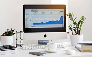 Avelo Airlines: What It Is, Its Routes & Reviews, and the Data on Reliability