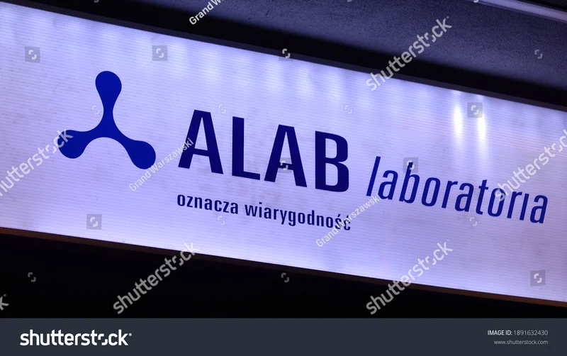 ALAB Stock's Q3 Triumph: What Drove the Surge